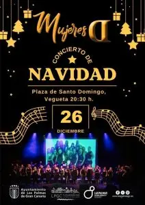 Lee más sobre el artículo Concierto Plaza Santo Domingo