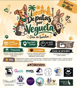 Lee más sobre el artículo De patas por Vegueta